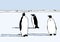 Drawing of penguins in Antartica