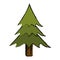 Drawing pine tree forest camping icon