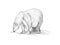 Drawing polar bear sniffing