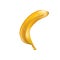 Drawing realistic delicious ripe fresh natural banana close-up