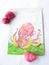 Drawing of a sea bright octopus with tentacles with pink shells on a white background.