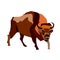 The drawing shows an angry brown bull. The wild beast has big horns and a strong body, it is angry and attacks.Vector