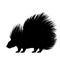 Drawing silhouette ink porcupine