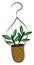 Drawing of a smart hanging pot with plants, vector or color illustration