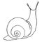 Drawing with snail lines. A hand-drawn sketch-style snail with a spiral shell, side and back view, isolated black outline on white