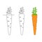 Drawing of sprouted carrots, continuous line, outline, cartoon, root-crop, orange vegetable, carautinea vector illustration, drawn