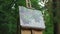 The drawing stands on an easel in the middle of the meadow in a green park