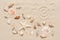 Drawing of the sun and seashells on the sand. Summer beach background. View from above