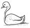 Drawing of swan, illustration, vector