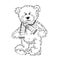 Drawing Teddy Bear with scarf