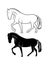 Drawing thoroughbred stallion