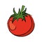 Drawing tomato juicy vegetable icon