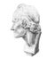 Drawing of Voltaire`s plaster head. Head of Voltaire in profile