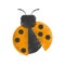 drawing yellow ladybug animal insect garden