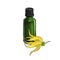 drawing ylang-ylang essential oil