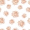 Drawn beige roses seamless background isolated on white. Flowers illustration front view. Pattern in romantic style for design