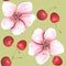 Drawn cherry flower and berries on a green background. Seamless pattern watercolor hand drawn