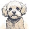 Drawn and Colored of Cute Maltipoo Dog Portrait on White Background