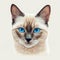 Drawn and Colored of Cute Siamese Cat Face on White Background