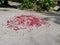 Drawn heart-shaped graffiti with lots of rose petals on the sandy beach