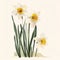 Drawn, painted flowers: white daffodils flowers with green stem and leaves. Flowering flowers, a symbol of spring, new life