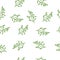 Drawn with a pencil branches with leaves seamless pattern. The basic design is green and white.