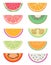 Drawn vector collection set with different exotic fruit slices cut in half like water melon, orange, grapefruit, kiwi