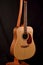 Dreadnought Guitar with Engelmann Spruce top and faux Tortoise Picguard