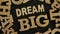 Dream big, text words typography written with wooden letter, life and business motivational inspirational