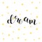 Dream. Brush lettering illustration.