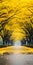 Dream-like Pathway: A Symmetrical Journey Through Nature\\\'s Chromaticity