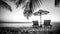 Dream scene. Beautiful palm tree over white sand beach. Summer nature view. Dramatic process, black and white