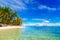 Dream scene. Beautiful palm trees above the white sand beach, th