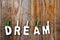 Dream word on wooden background