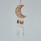 Dreamcatcher, an American native amulet made of feathers, leather beads, and ropes