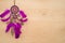 Dreamcather with purple feathers on the light wooden background