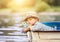 Dreaming boy lying in old boat on the river