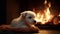 Dreaming puppy next to the glowing fire