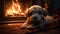 Dreaming puppy next to the glowing fire