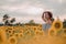 Dreaming young woman in blue dress holding a hat in a field of sunflowers at summer, front view. Looking to the side. Yellow flare