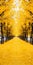 Dreamlike Alley Of Yellow Covered Trees: A Playful Monochromatic Delight