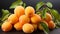 Dreamlike Apricot: A Zbrush-inspired Image Of Small Apricots With Water Drops