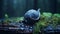 Dreamlike Fantasy Creatures: Shell On Mossy Ground In Rain