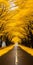 Dreamlike Installations: Bright Yellow Trees On The Road