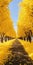 Dreamlike Installations: Yellow Trees On A Road