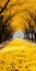 Dreamlike Pathway Covered In Yellow Petals