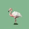 Dreamlike Pink Flamingo Illustration On Green Background