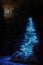 Dreamlike winter scene. Christmas tree among snowy forest at snowfall night. Xmas celebration background with bright crescent