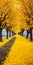 Dreamlike Yellow Lined Road With Tree - Uhd National Geographic Photo