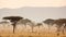 Dreamy African Landscape Panorama